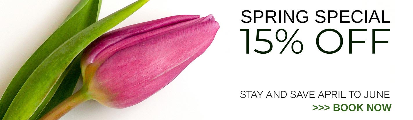 Banner advertising 15% spring special 