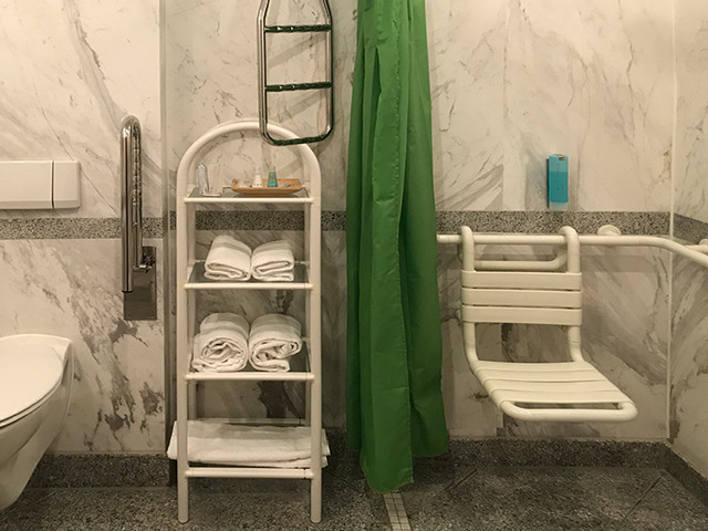 Bathroom [Handicap Room]