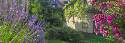 Begrünter Hotelgarten im Agneshof Nürnberg nahe der Kaiserburg
