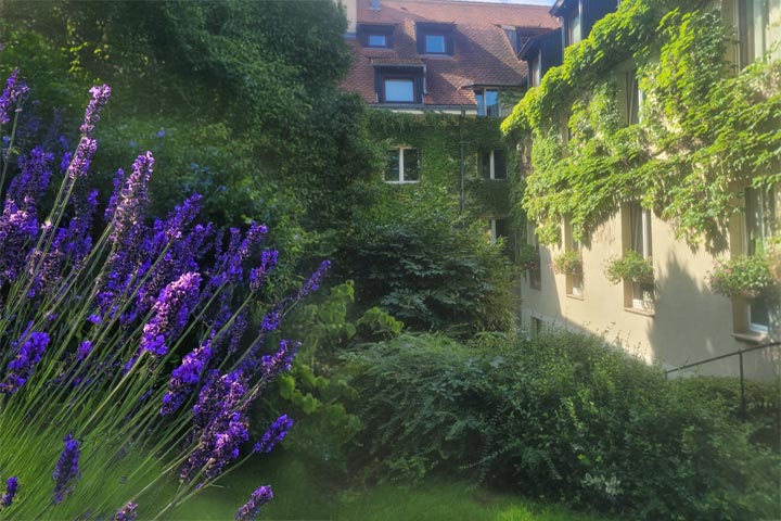 Grüner Innenhof im Agneshof Nürnberg in der Altstadt