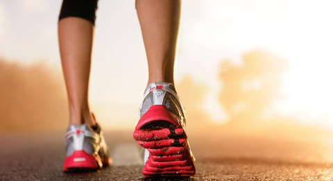 Joggen durch die Havelstadt