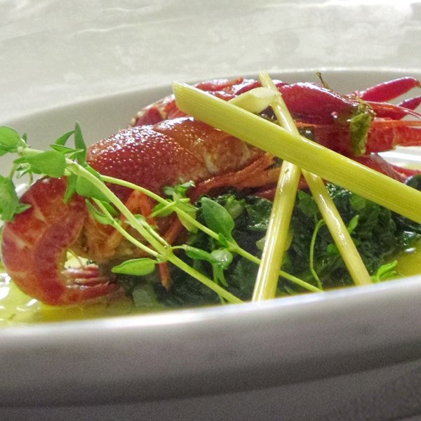 Crayfish on leaf spinach