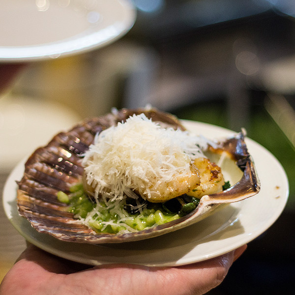 Scallops on wild garlic risotto