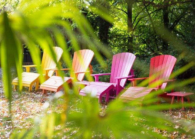 Hotel garden