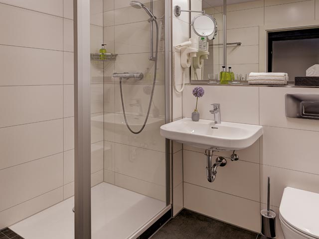 Standard Room: Bathroom